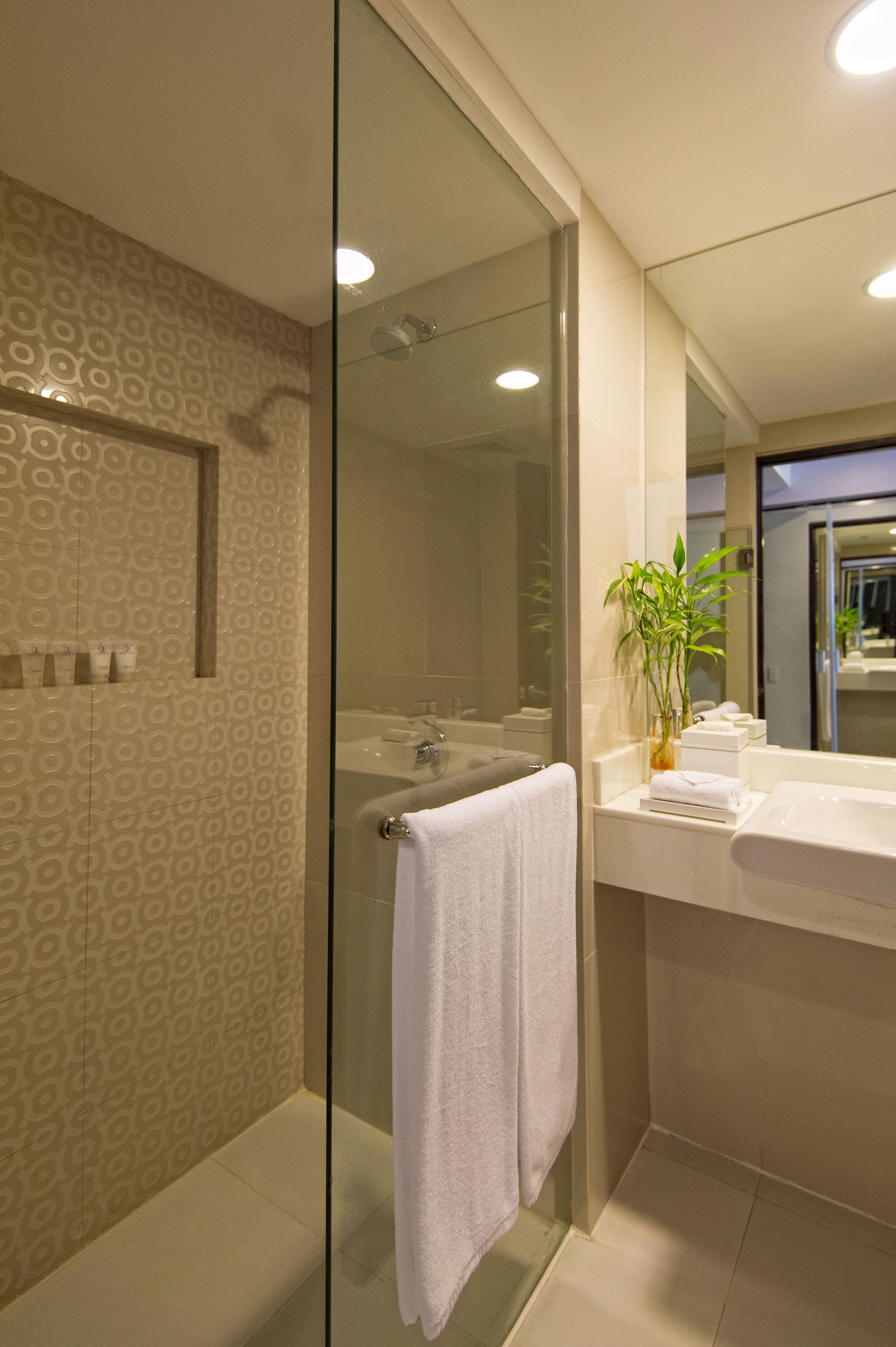 shower, free toiletries, hair dryer, slippers