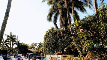 Outdoor pool, pool umbrellas, pool loungers