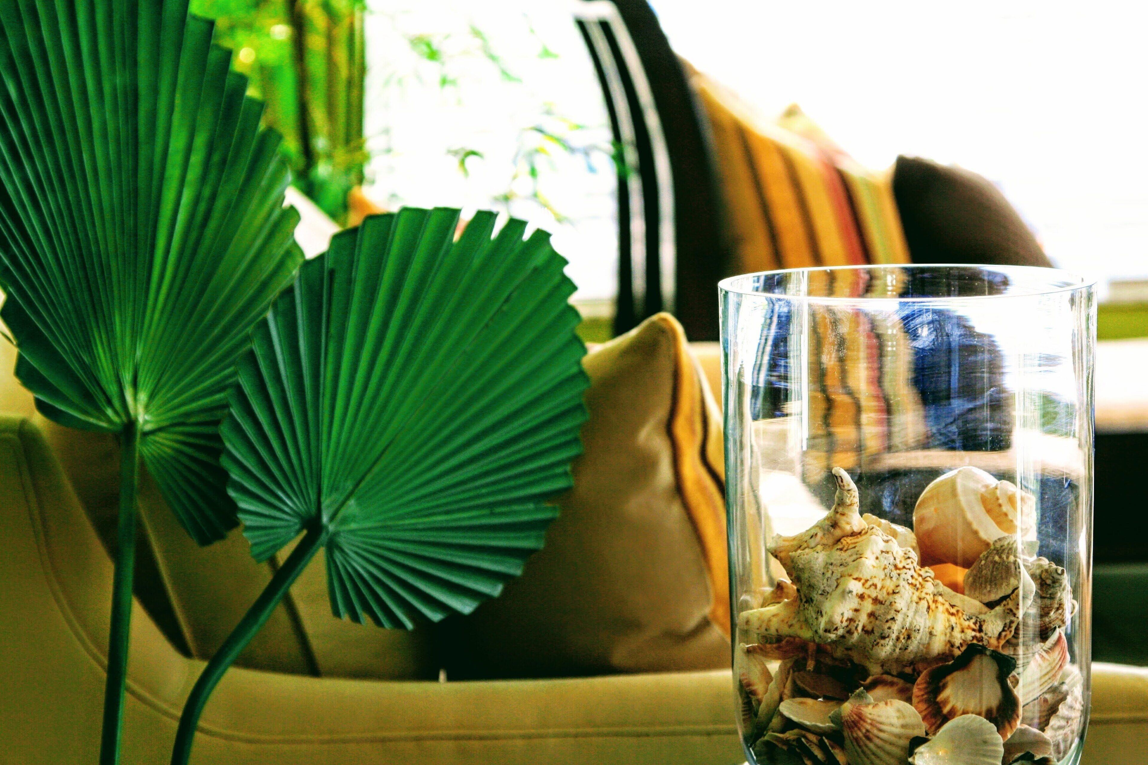 A glass vase with seashells on a sofa.