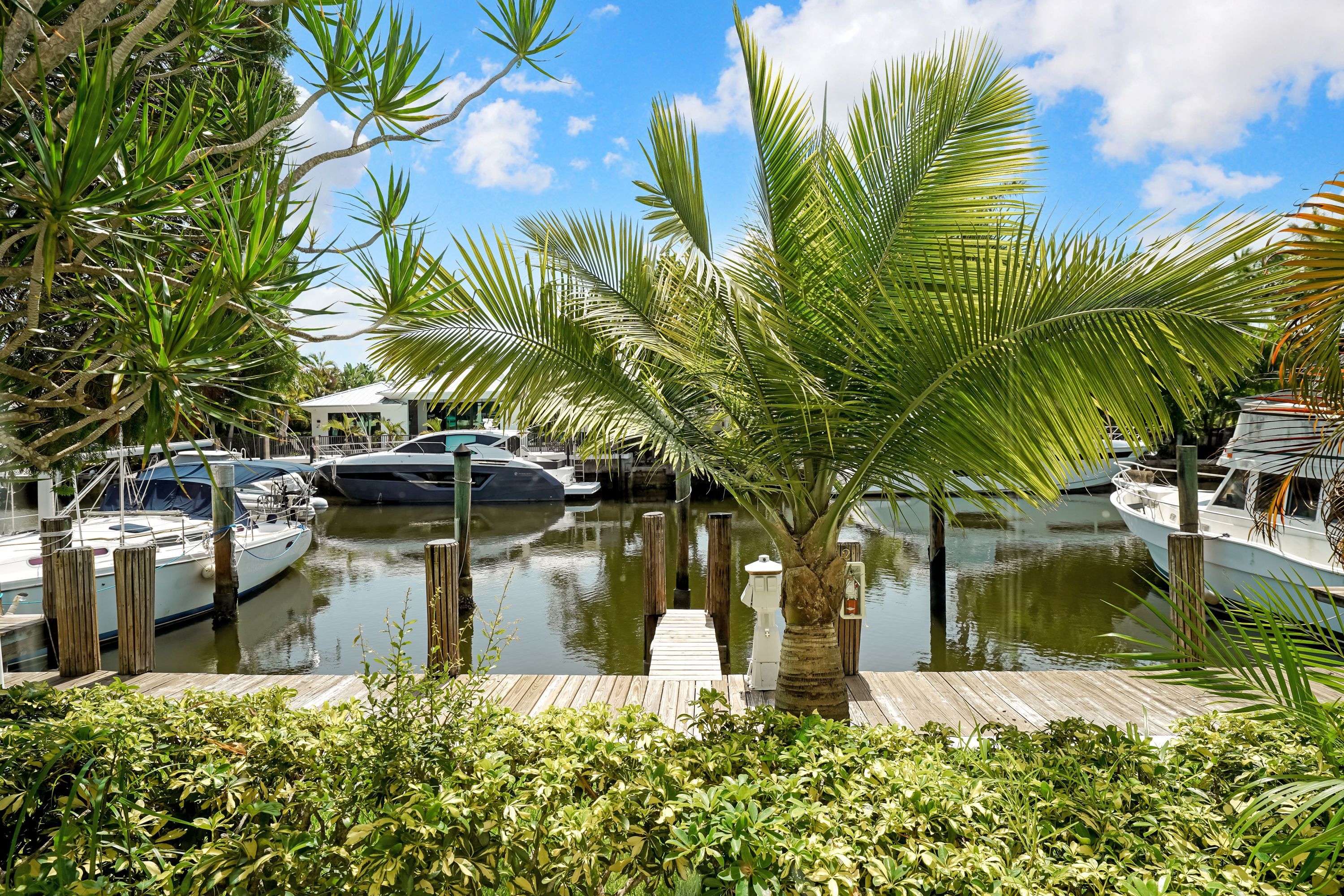 A marina with boats docked, surrounded by lush greenery and a clear sky.