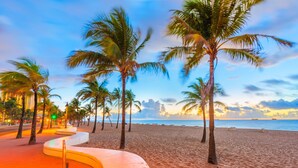 Una playa con palmeras y un paseo curvo.