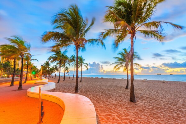 A beach with palm trees and a curved walkway. - Villa Venezia (Fort Lauderdale)
