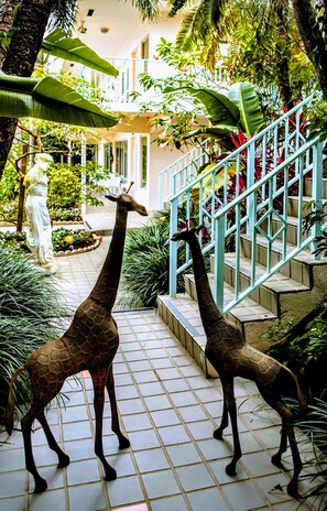 Jardin