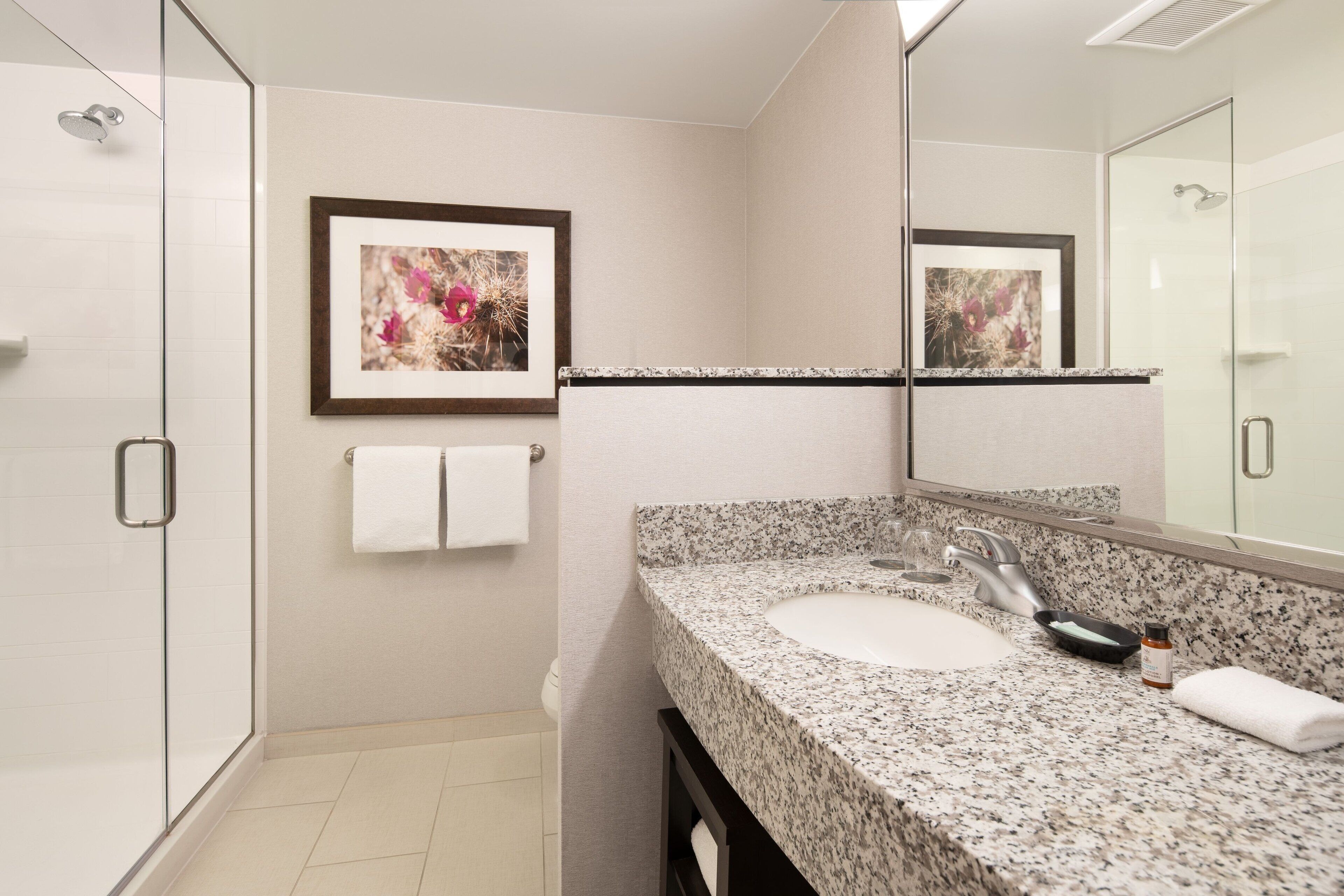 combined shower/bathtub, free toiletries, hair dryer, towels