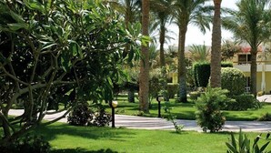 Property grounds - Palm Beach Resort P.L.C. (Hurghada)