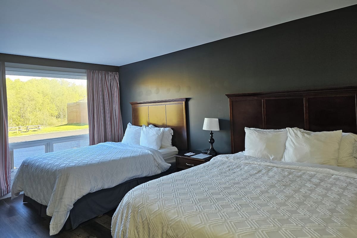 A hotel room with two beds, a nightstand, a lamp, and a large window offering a view of greenery.