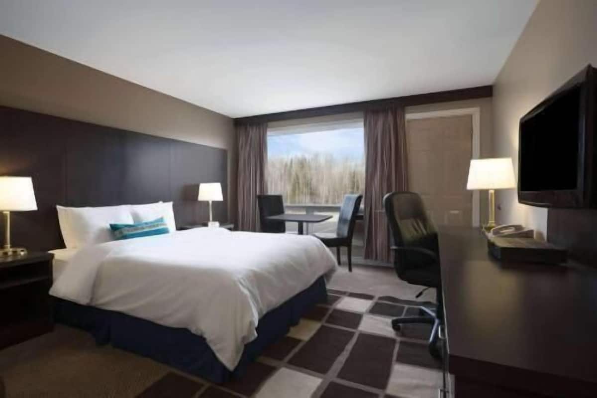 Premium bedding, in-room safe, desk, blackout curtains