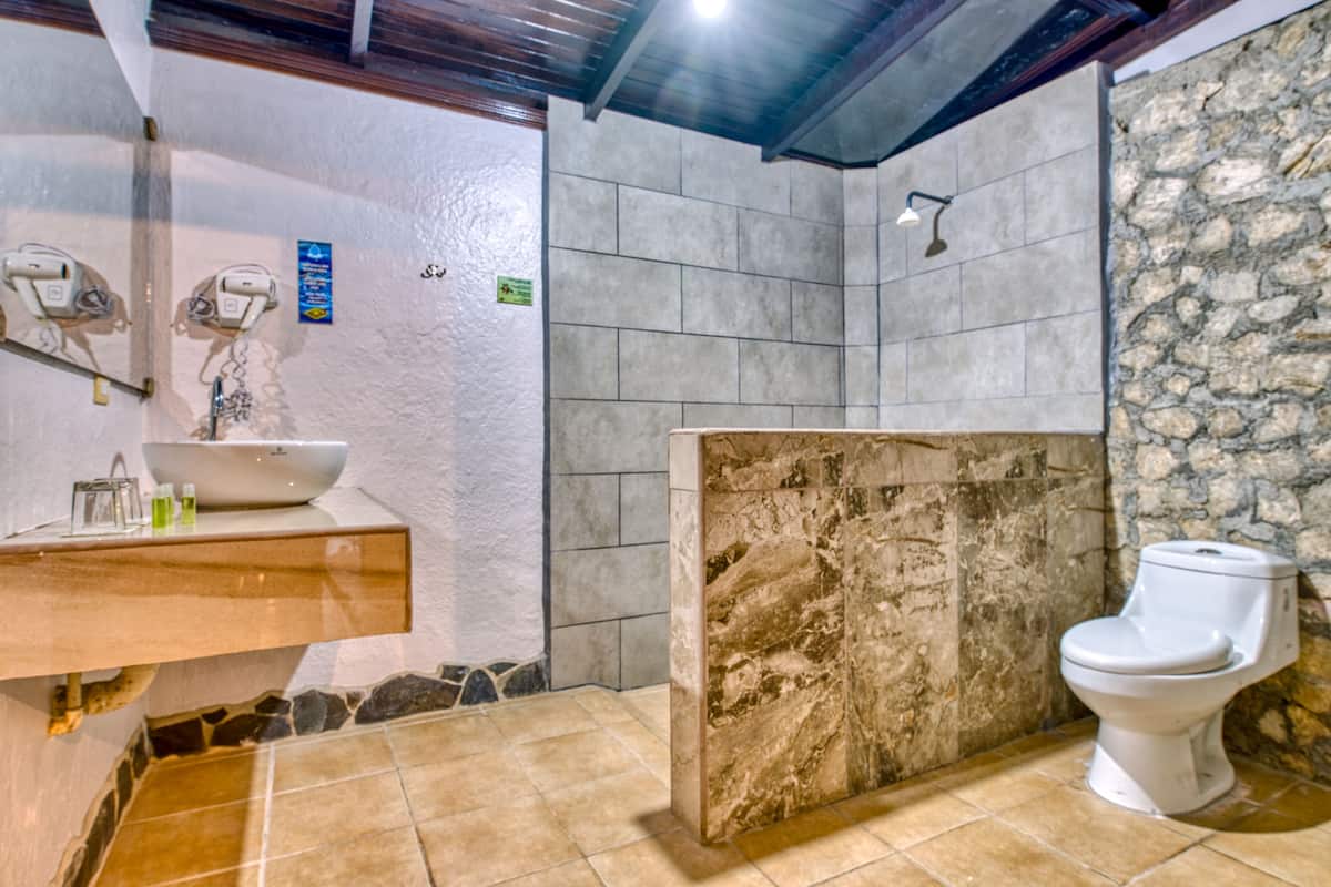 standard deluxe | bathroom | rainfall showerhead, towels, soap, shampoo