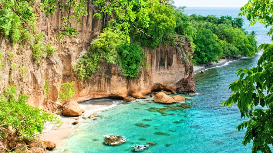 Secret Bay
