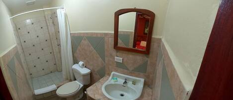 Un baño con ducha, inodoro, lavabo y espejo.