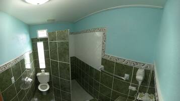 A bathroom with a toilet, a sink, and a shower area.