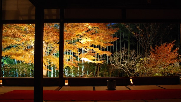Una habitación japonesa tradicional con suelo de tatami, una mesa baja y vistas a árboles otoñales por una ventana.