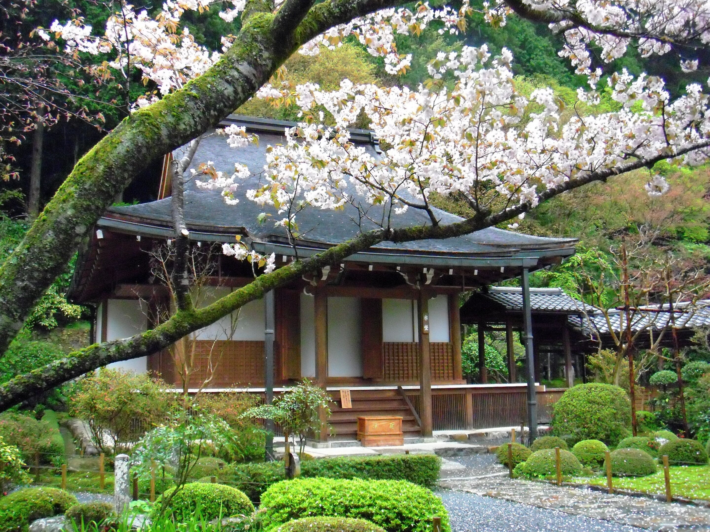 住宿城市景观