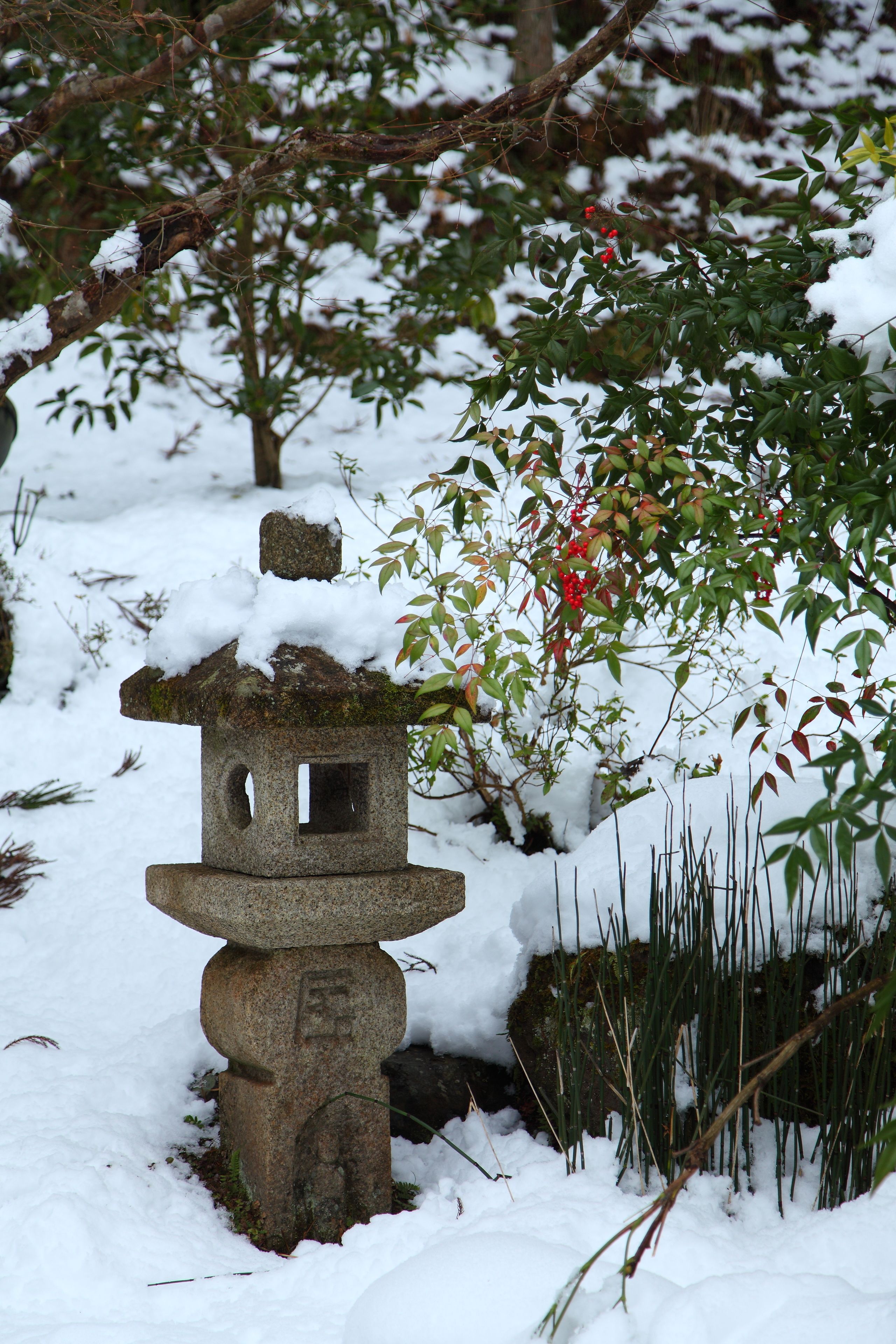 Foto - Kyo no Minshuku Ohara no Sato