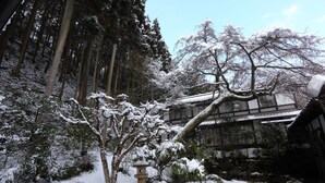 庭園