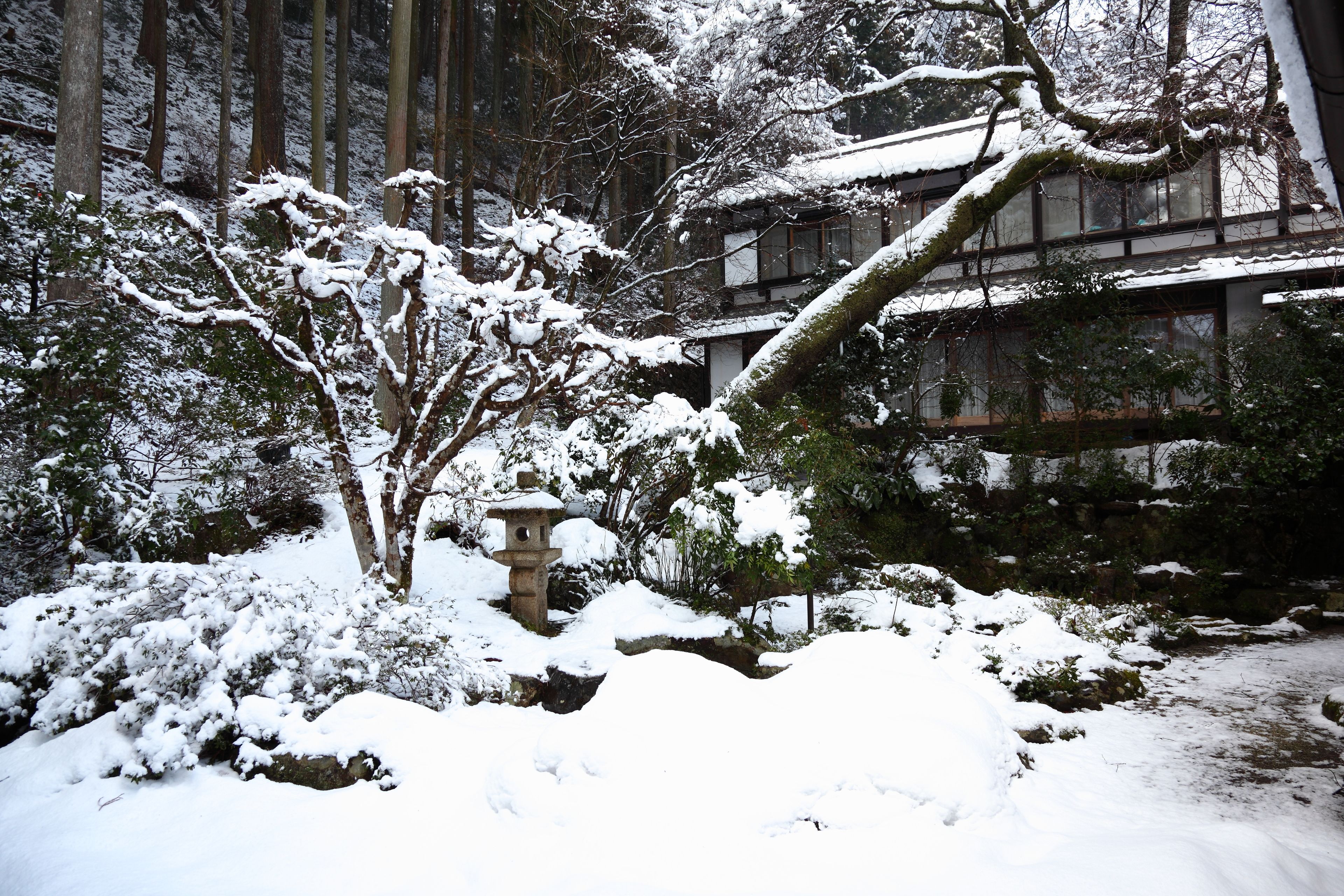 Foto - Kyo no Minshuku Ohara no Sato