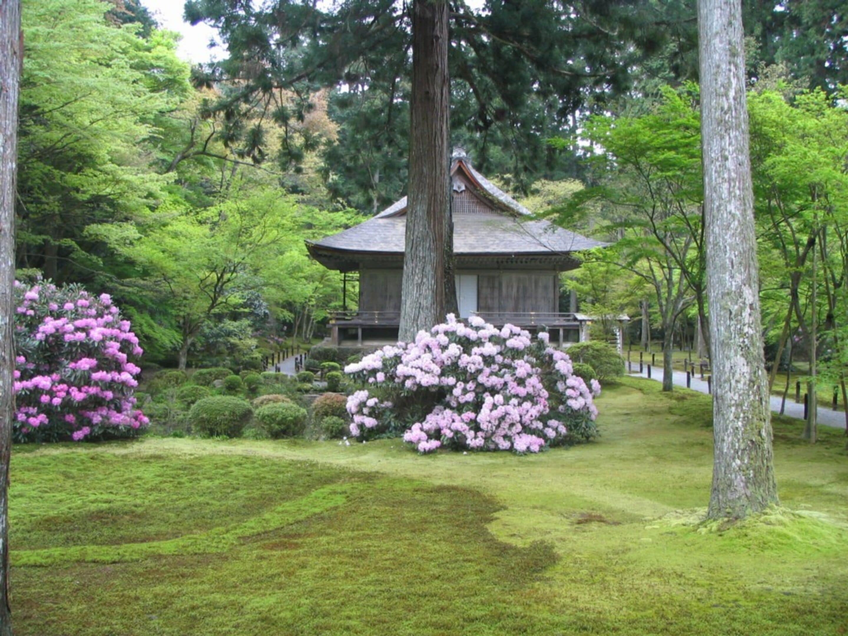 Foto - Ohara no Sato
