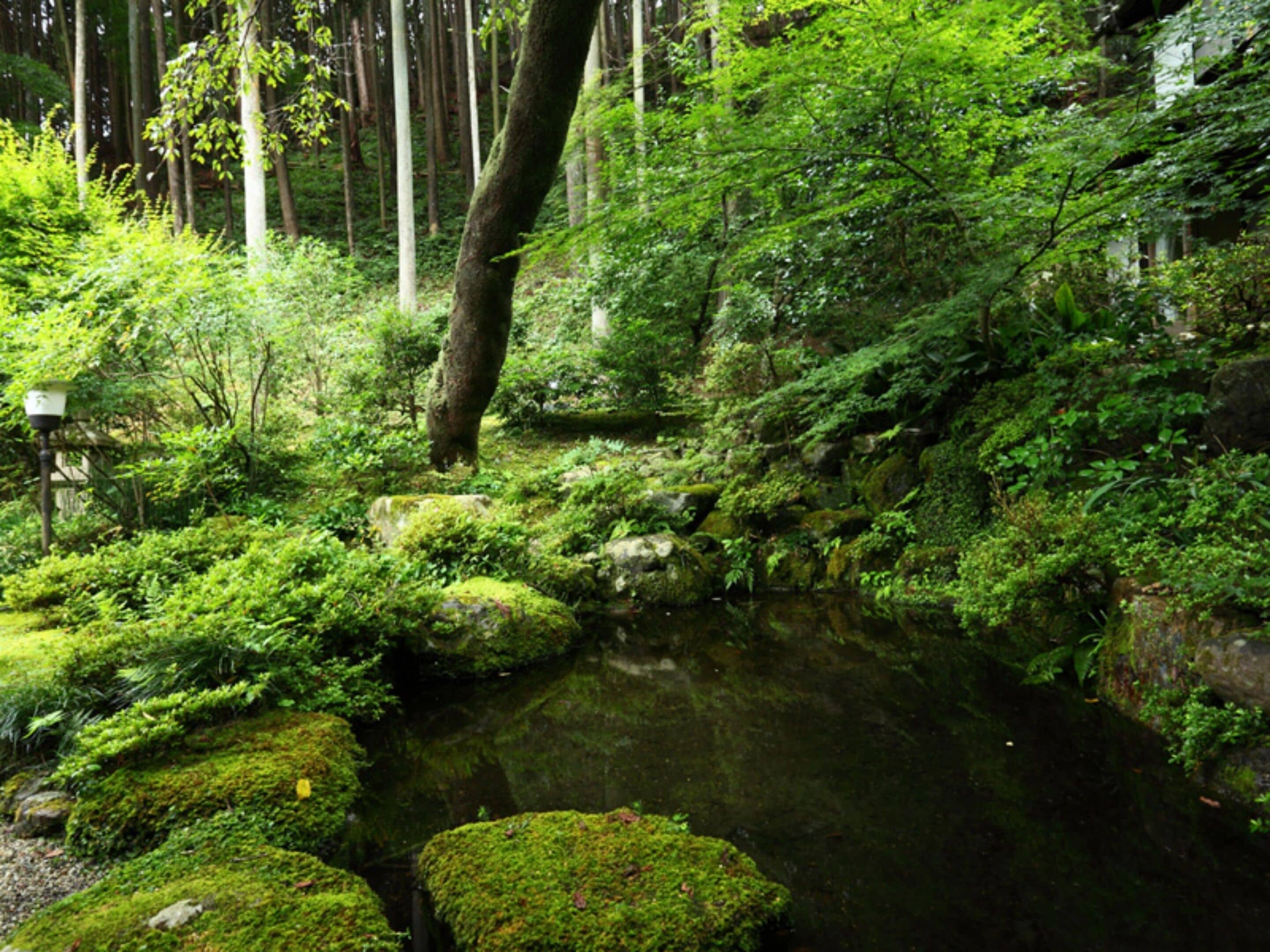 Foto - Ohara no Sato
