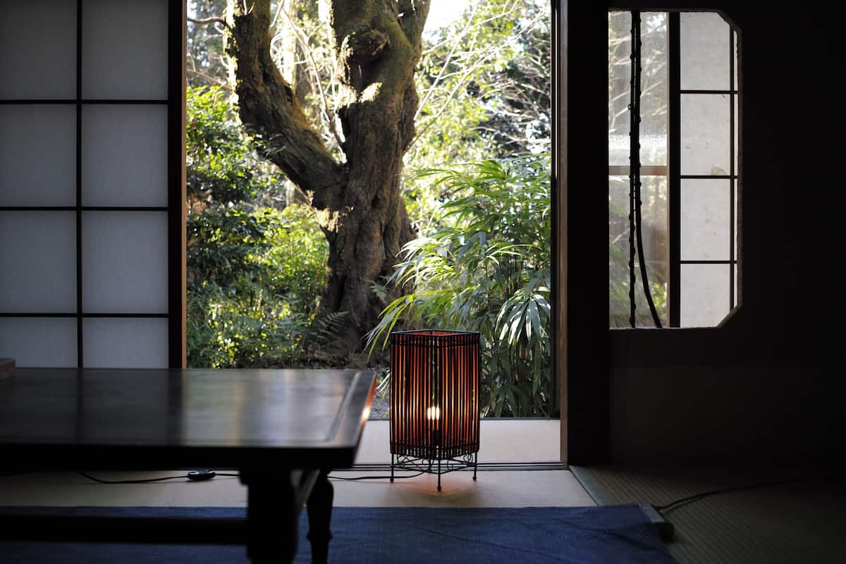 A traditional Japanese room with tatami flooring, a low table, and a view of a large tree through a sliding door.