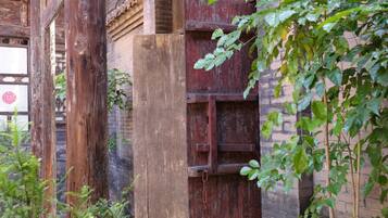 Une porte en bois rustique, dotée d’un loquet en métal, entourée de verdure et bordée d’un mur de briques.