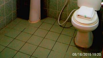 Shower, free toiletries, bidet, towels