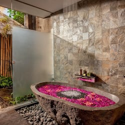 Separate tub and shower, rainfall showerhead, free toiletries, bathrobes