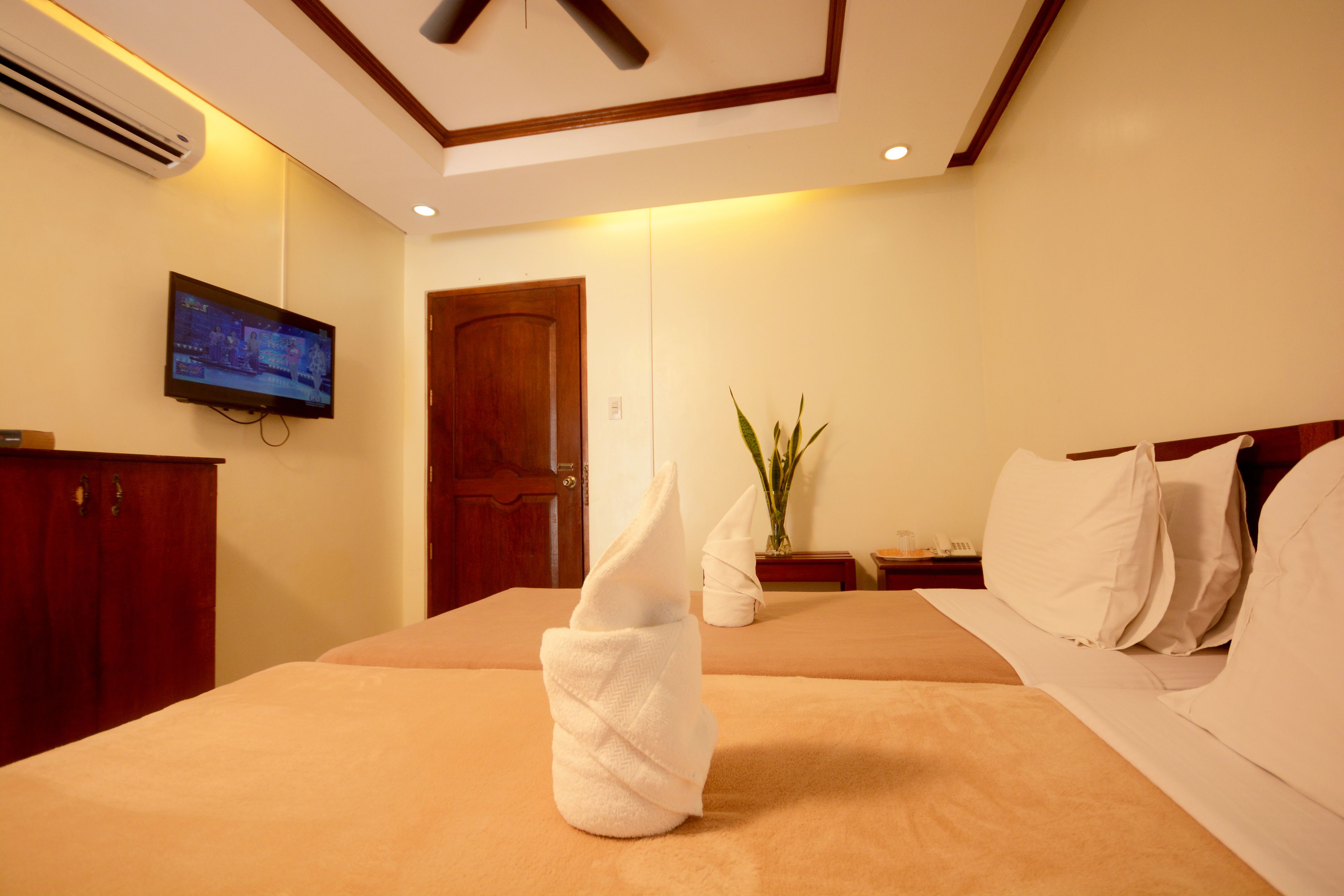 Habitación de hotel con cama, televisión en la pared, puerta de madera y planta.