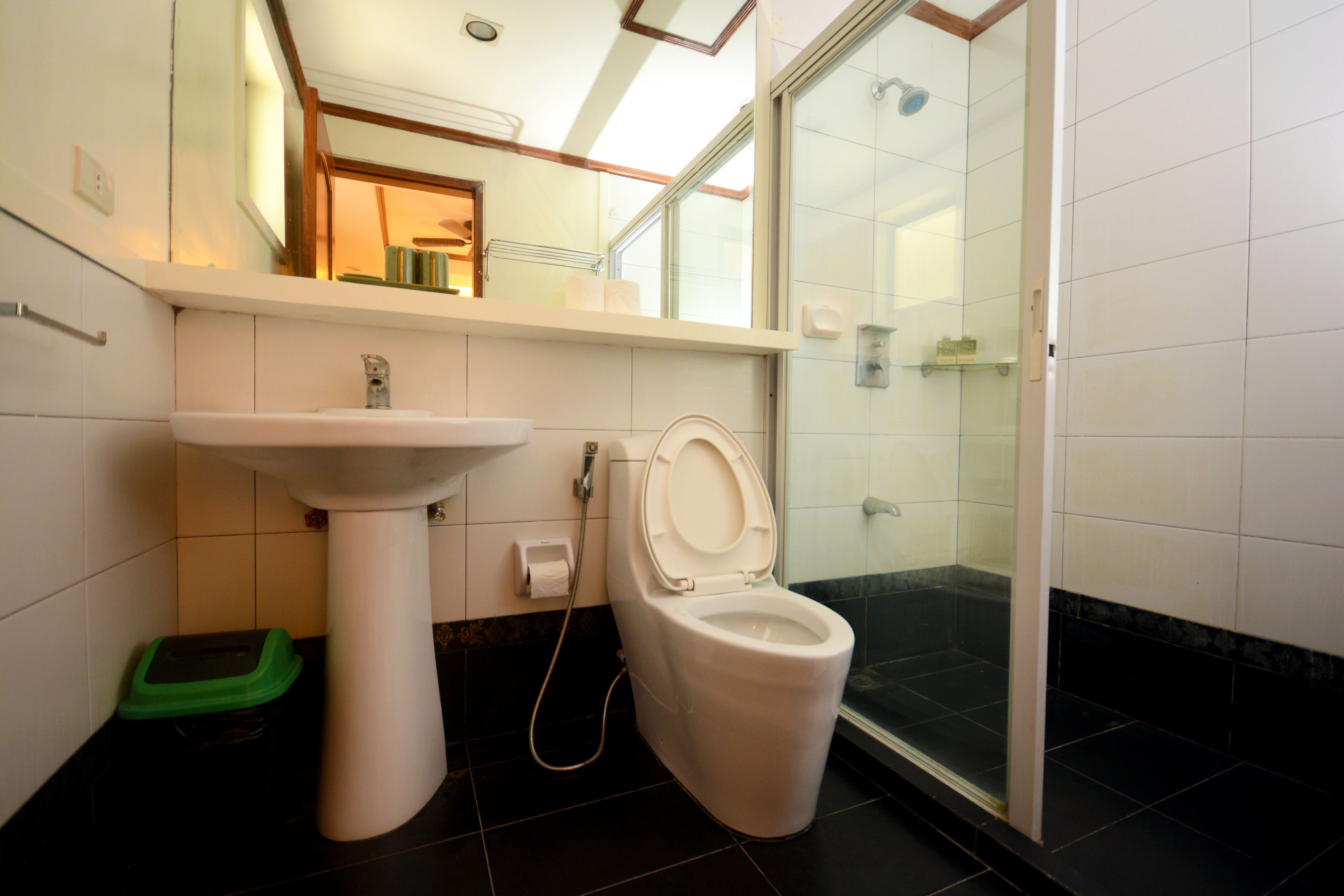 Une salle de bain avec des toilettes, un lavabo et une douche.