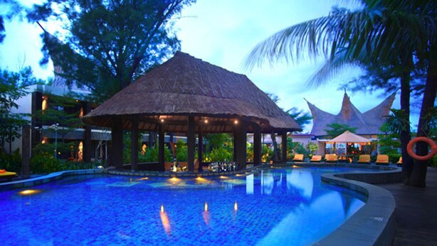 A pool area with a thatched-roof gazebo, lounge chairs, and a palm tree.