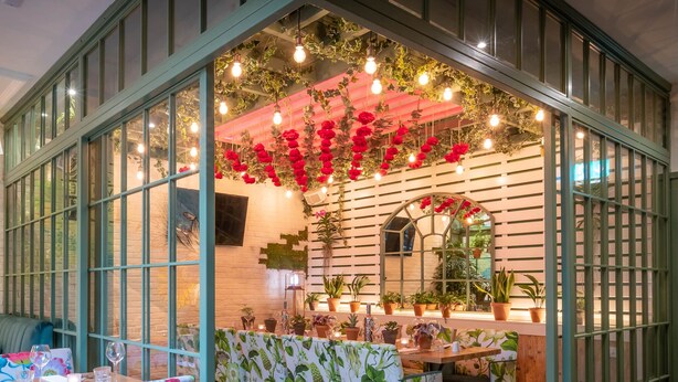 A restaurant with a long wooden table, chairs with floral upholstery, and a wall adorned with potted plants and hanging lights. - Hyde Hotel (Galway)