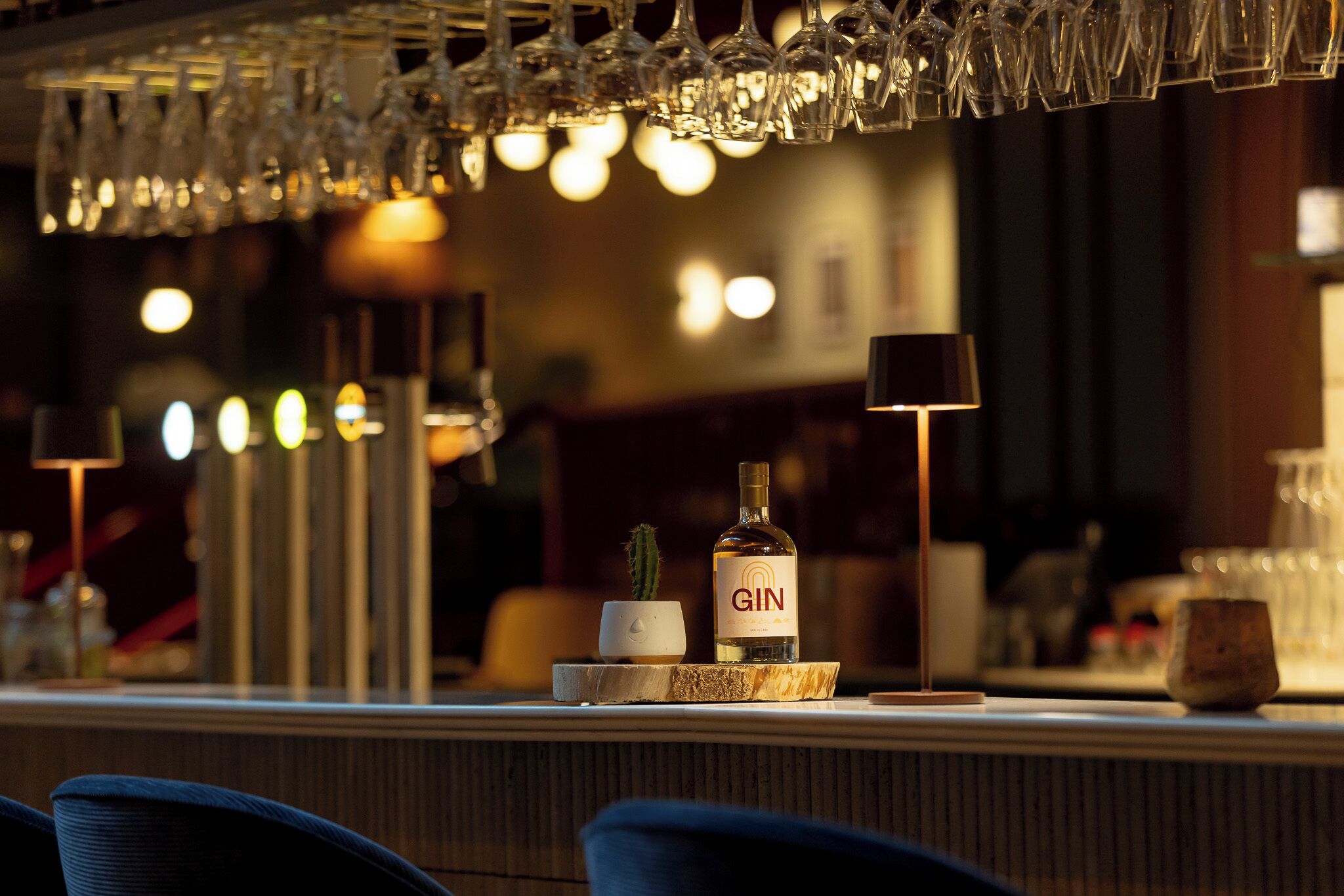Un coin bar avec une bouteille de gin, un cactus et un sous-verre en bois posés sur le comptoir.