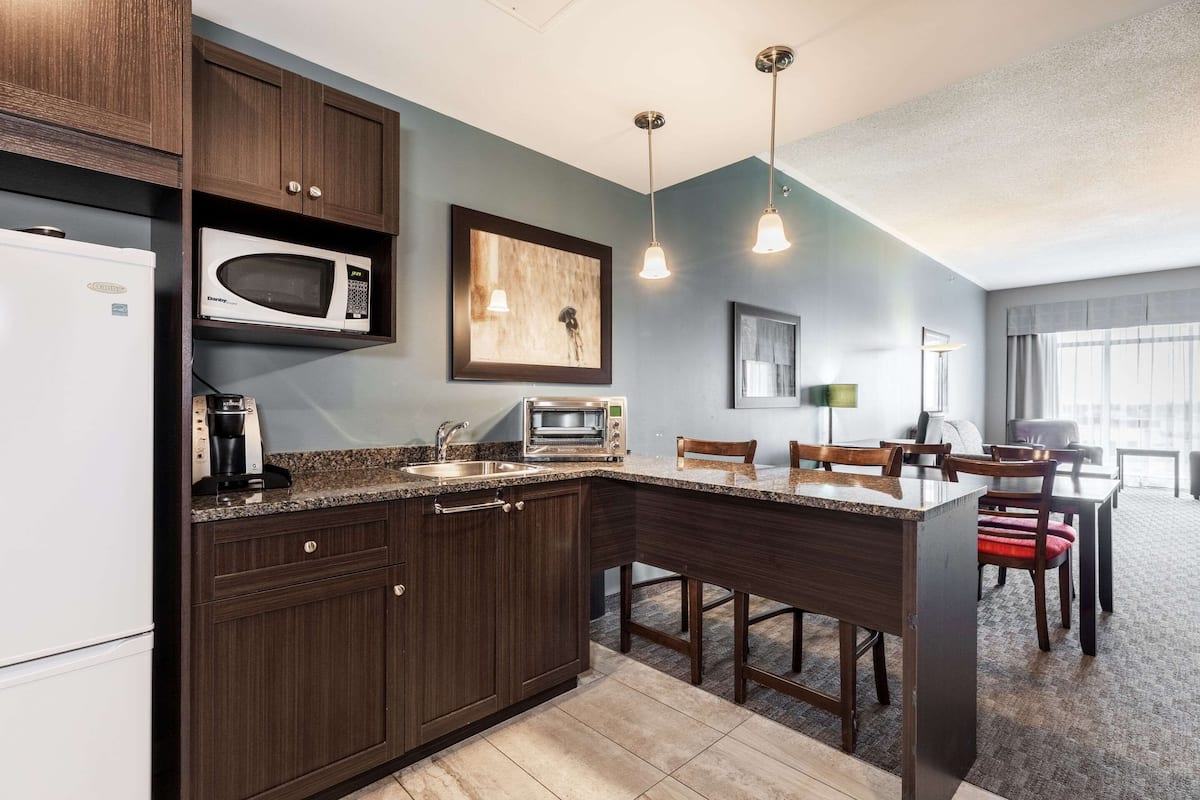 suite, 1 king bed with sofa bed, non smoking (efficiency) | hypo-allergenic bedding, desk, blackout curtains, iron/ironing board