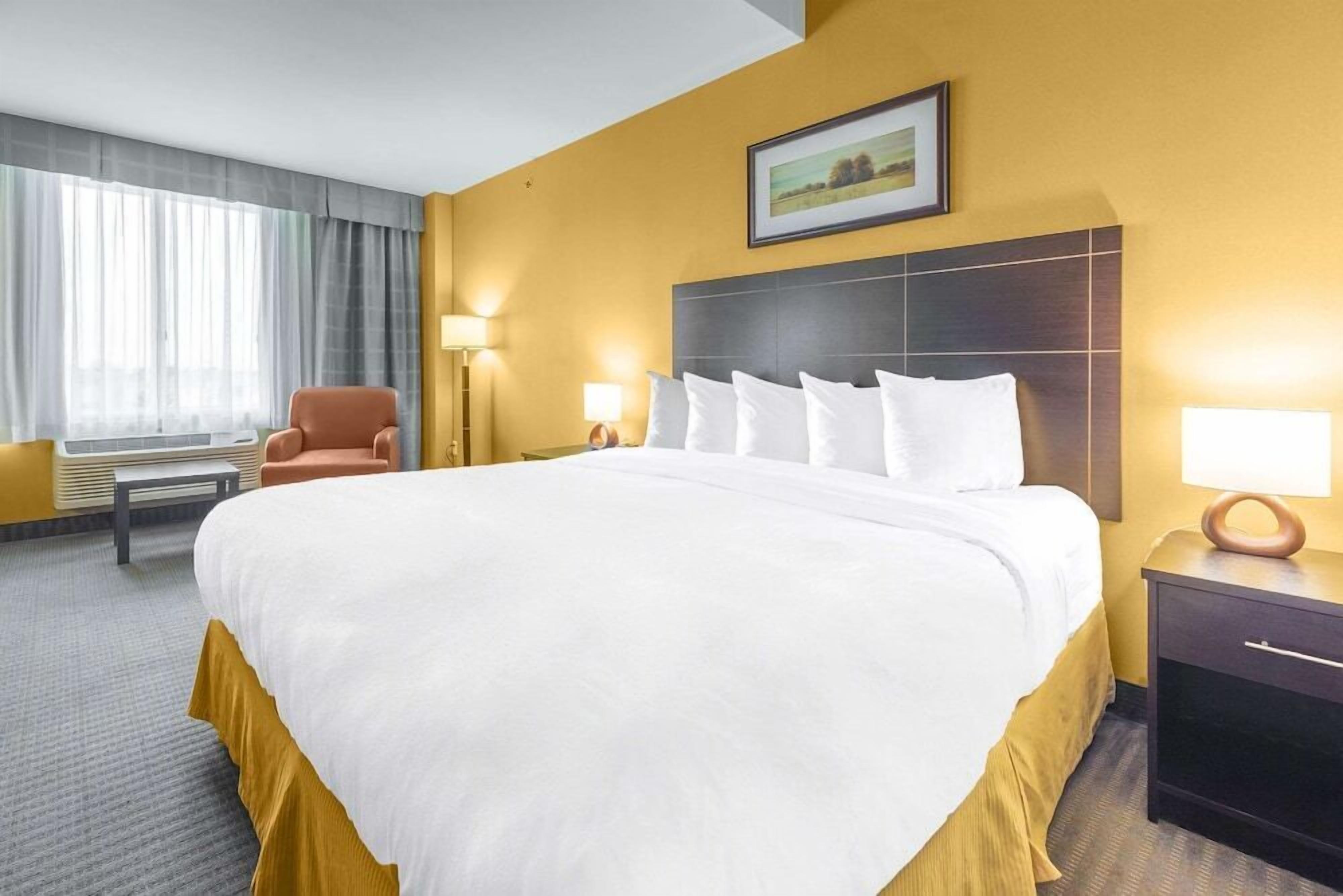 Hypo-allergenic bedding, desk, blackout curtains, iron/ironing board