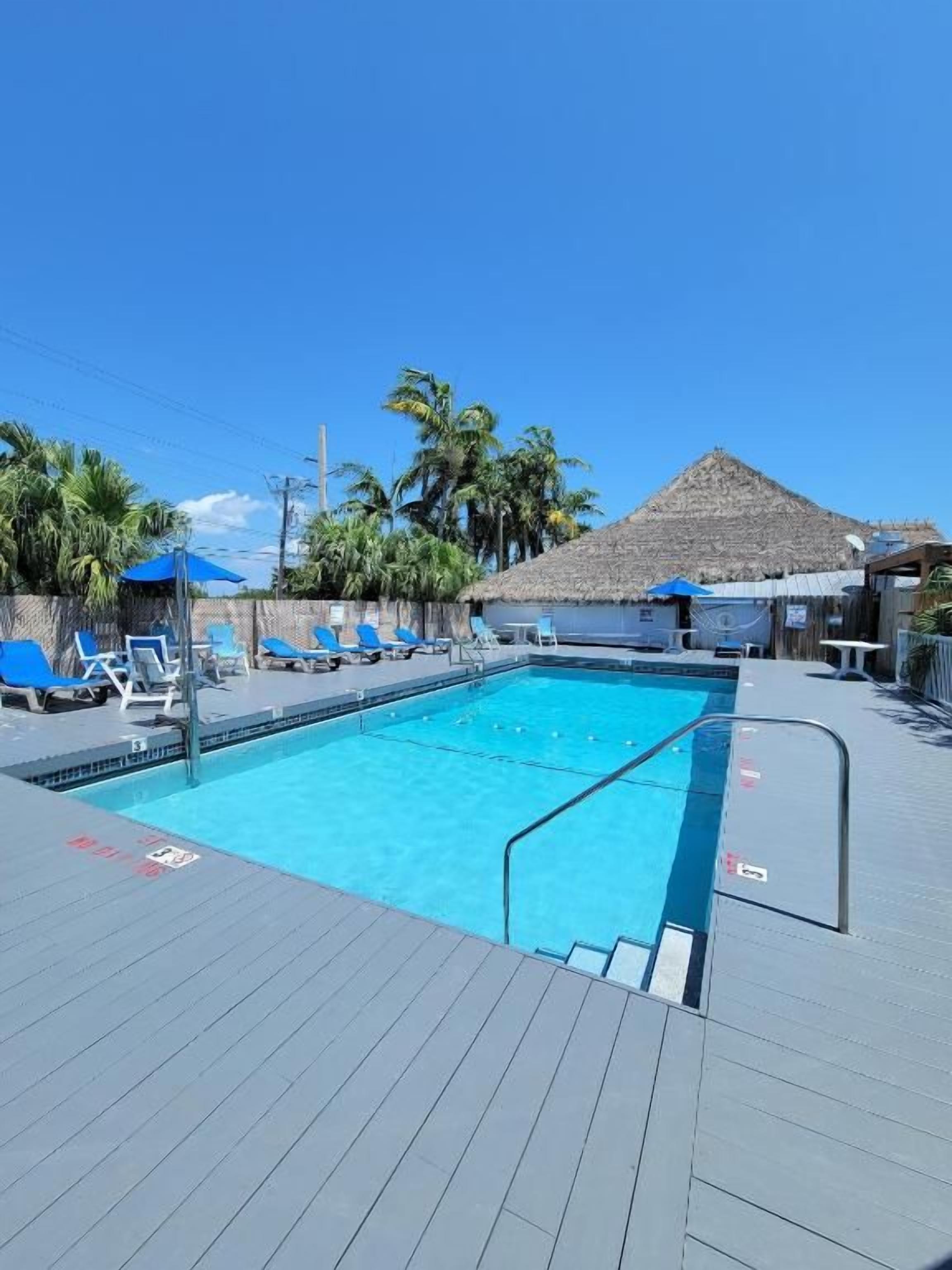 A swimming pool with lounge chairs and umbrellas, surrounded by palm trees and a thatched-roof structure.