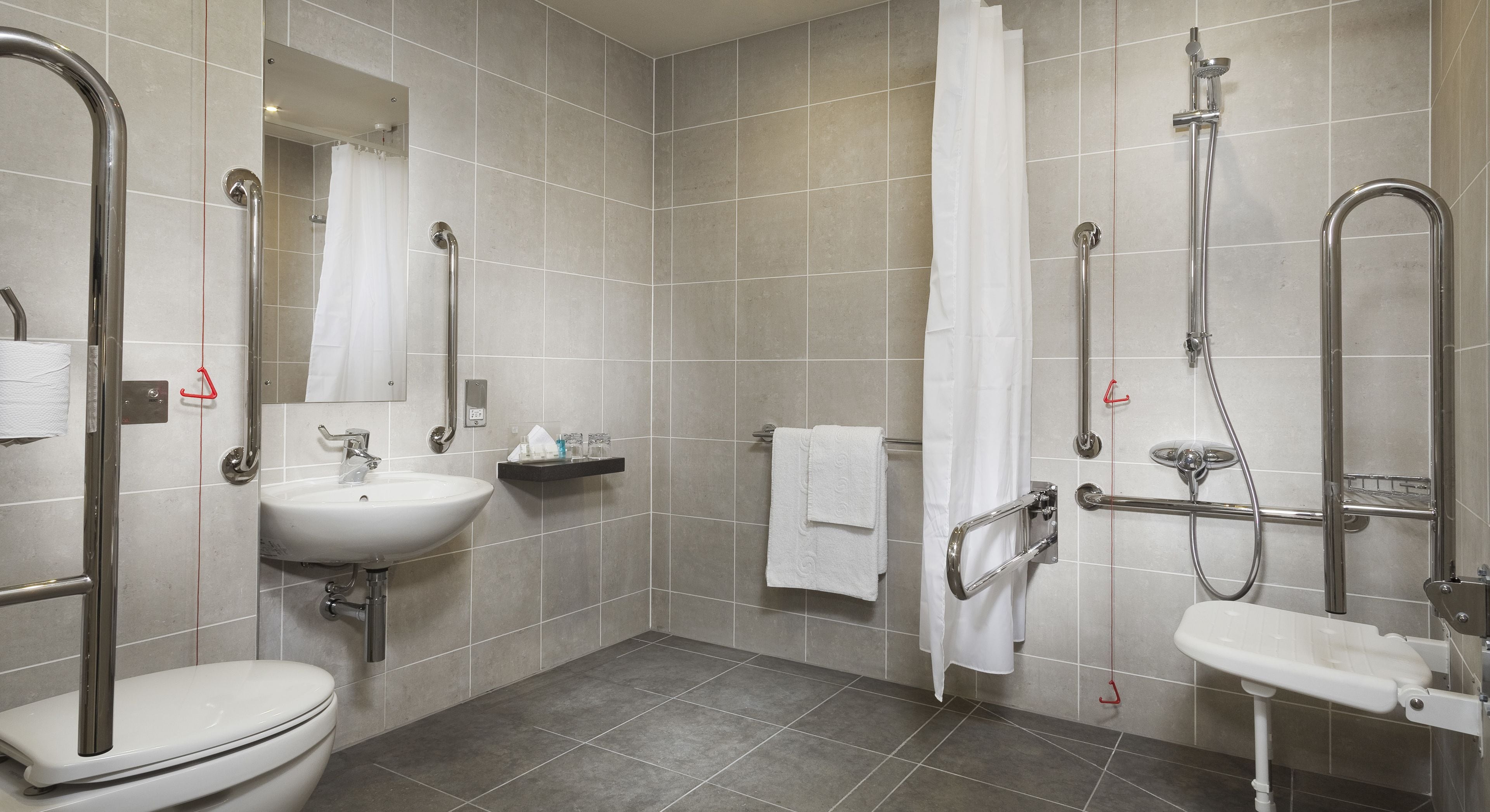 standard room, 1 double bed, accessible | bathroom | free toiletries, hair dryer, towels