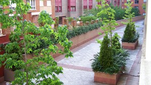 Un patio con edificios de ladrillo, plantas verdes y un camino empedrado.