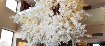 Hilton Garden Inn Rzeszow