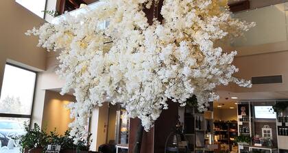 Hilton Garden Inn Rzeszow