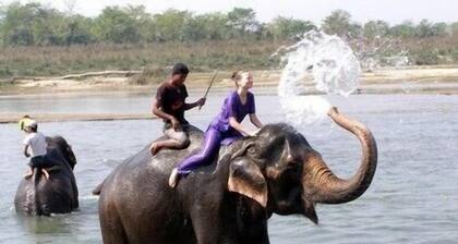 Chitwan Forest Resort