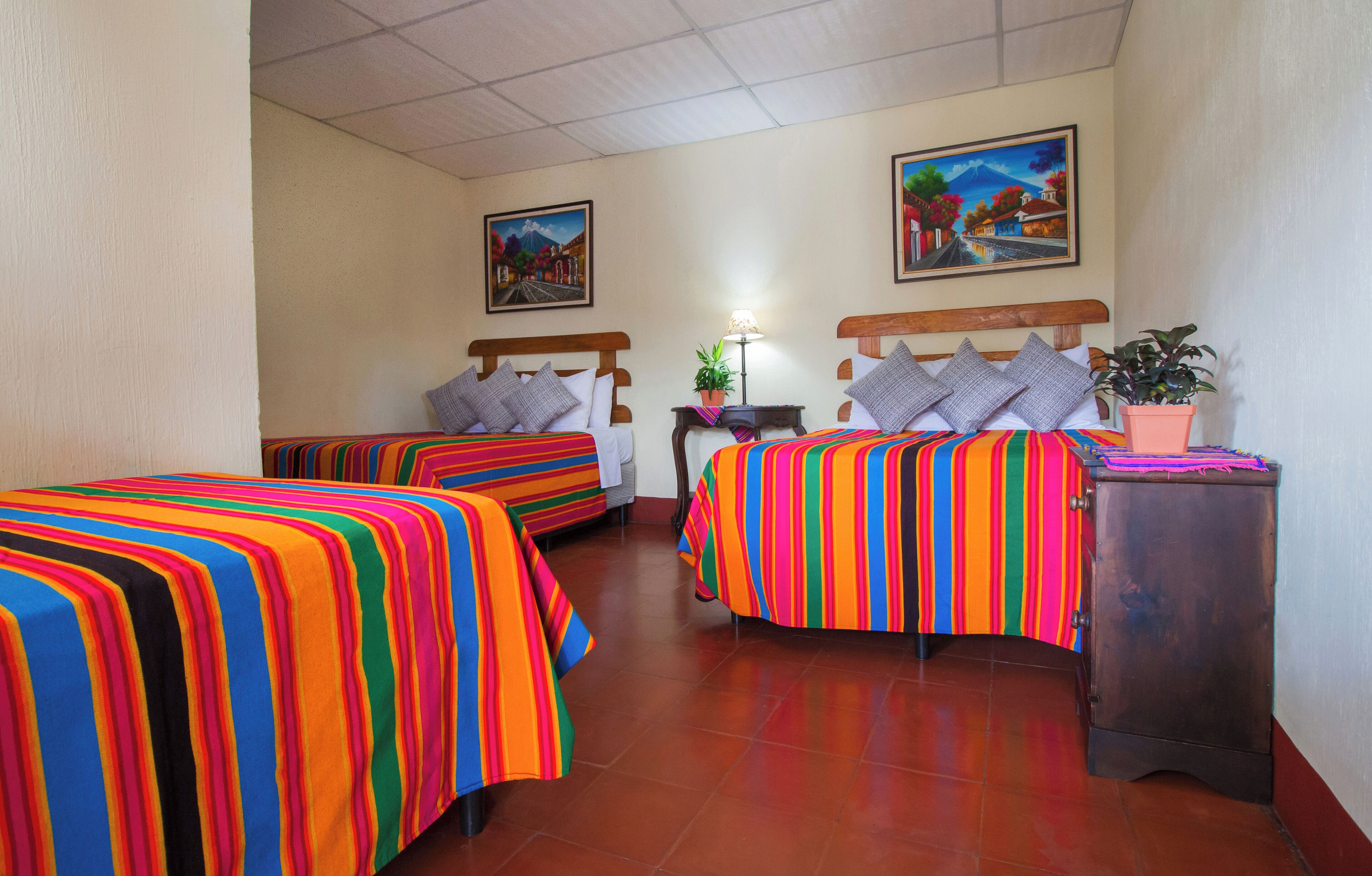 A hotel room with two beds, each with colorful striped bedding, a nightstand with a lamp, and a small potted plant.