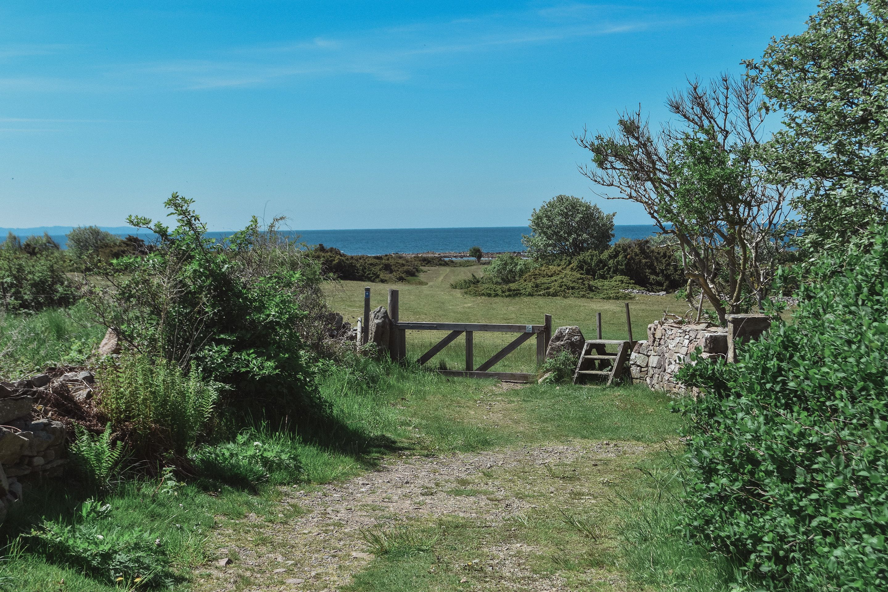 land view from property
