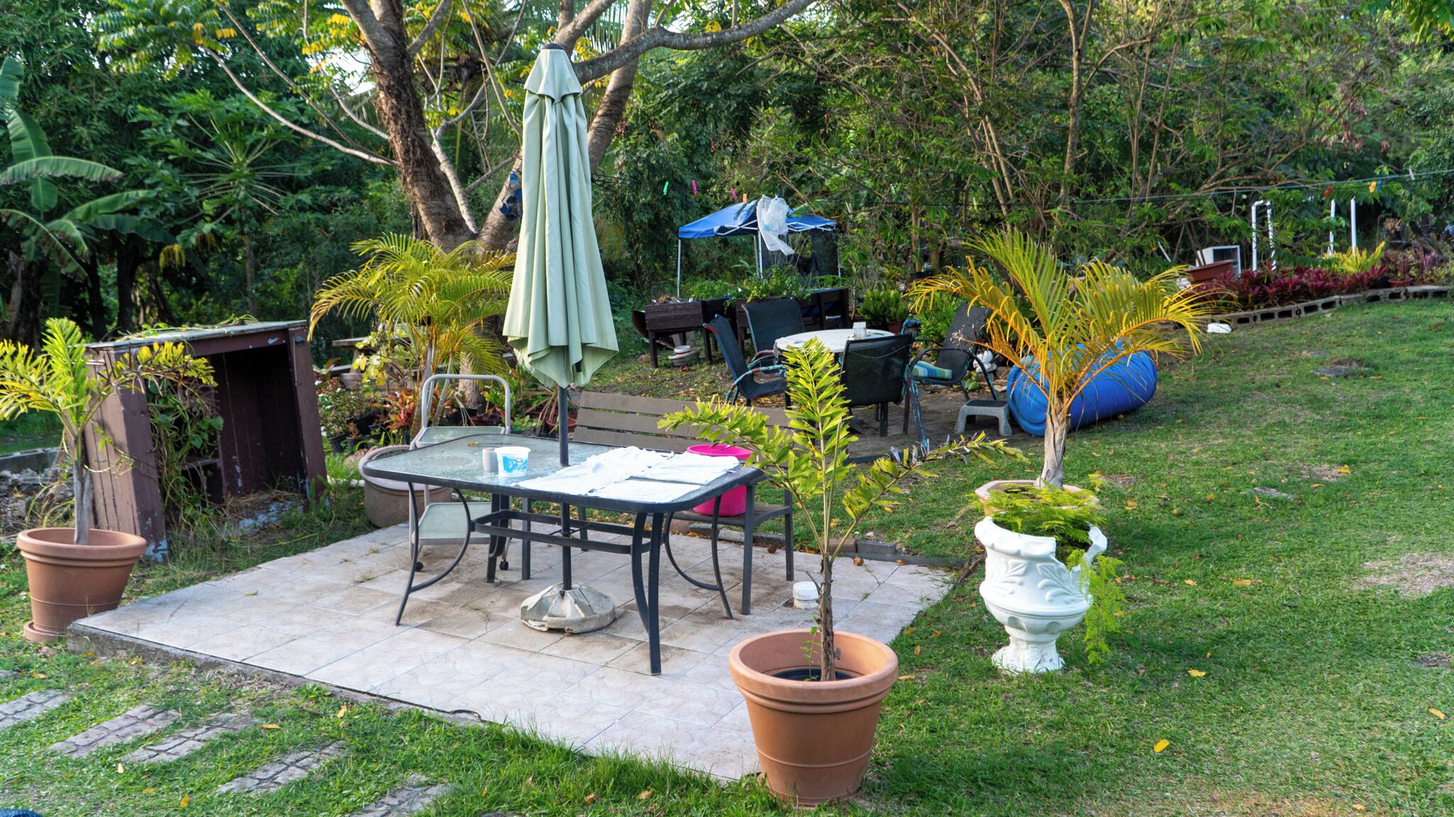Een terras buiten met een tafel en stoelen, omringd door potplanten en een blauwe parasol.