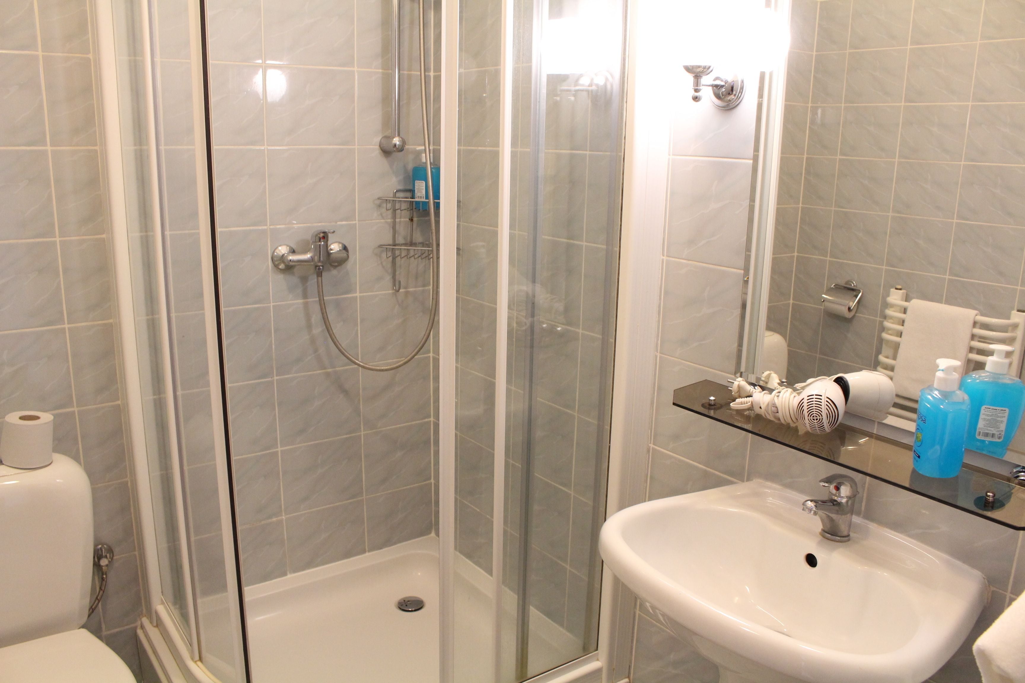Een badkamer met een douche met glazen wanden, een witte wastafel en een glazen plank met toiletartikelen.