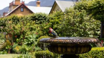 A bird perched on a fountain in a garden with lush greenery and a building in the background.