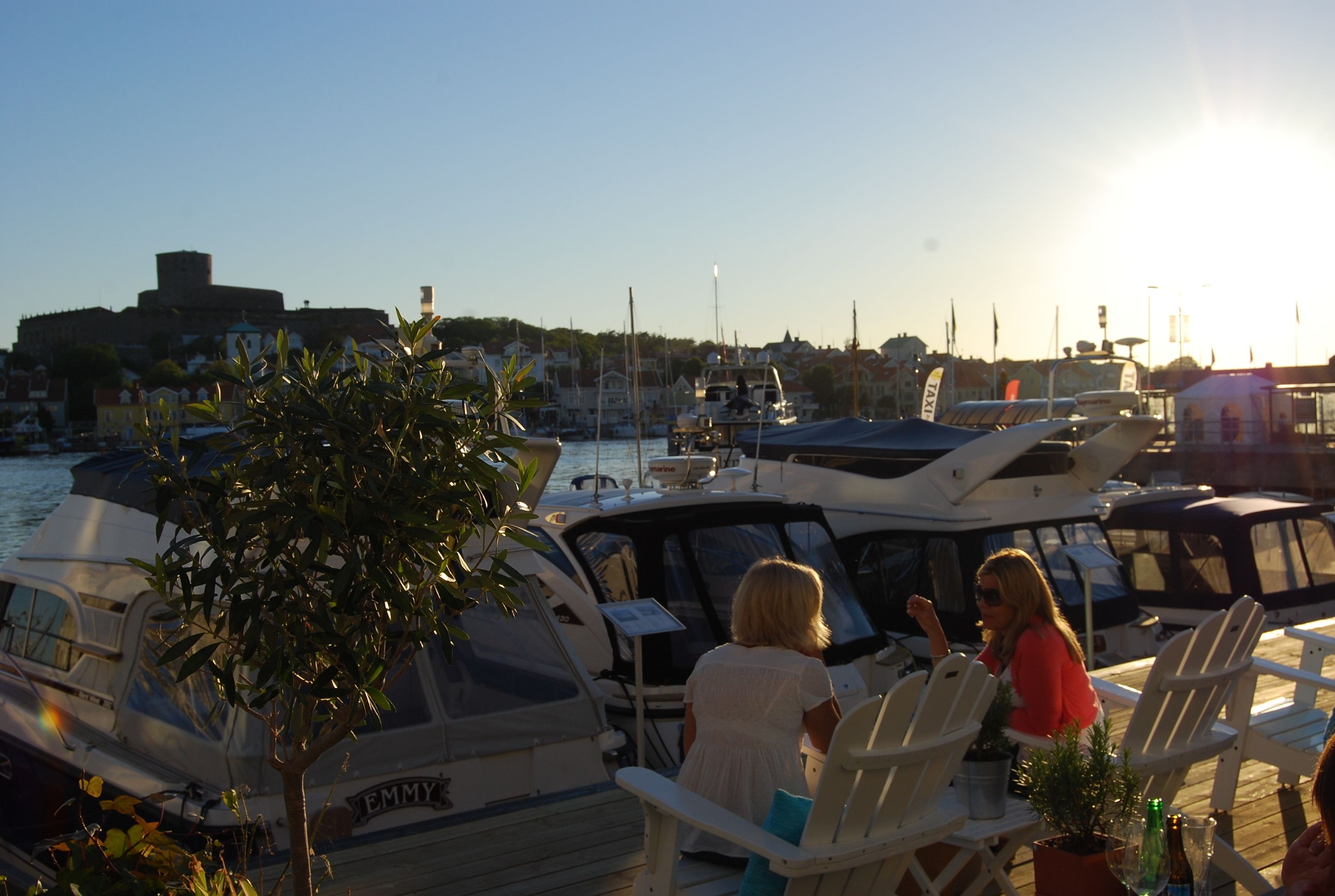 A marina with boats docked, a tree in the foreground, and a building in the background.