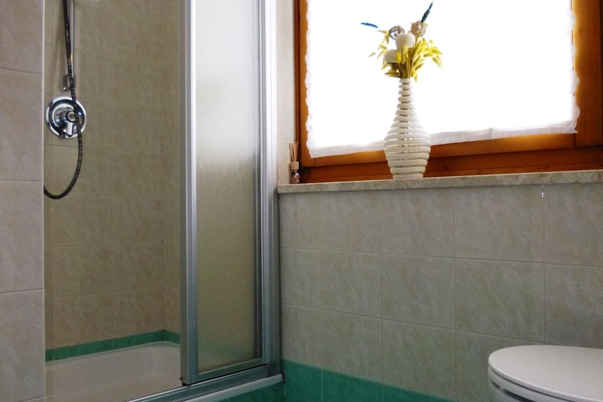 shower, free toiletries, hair dryer, bidet