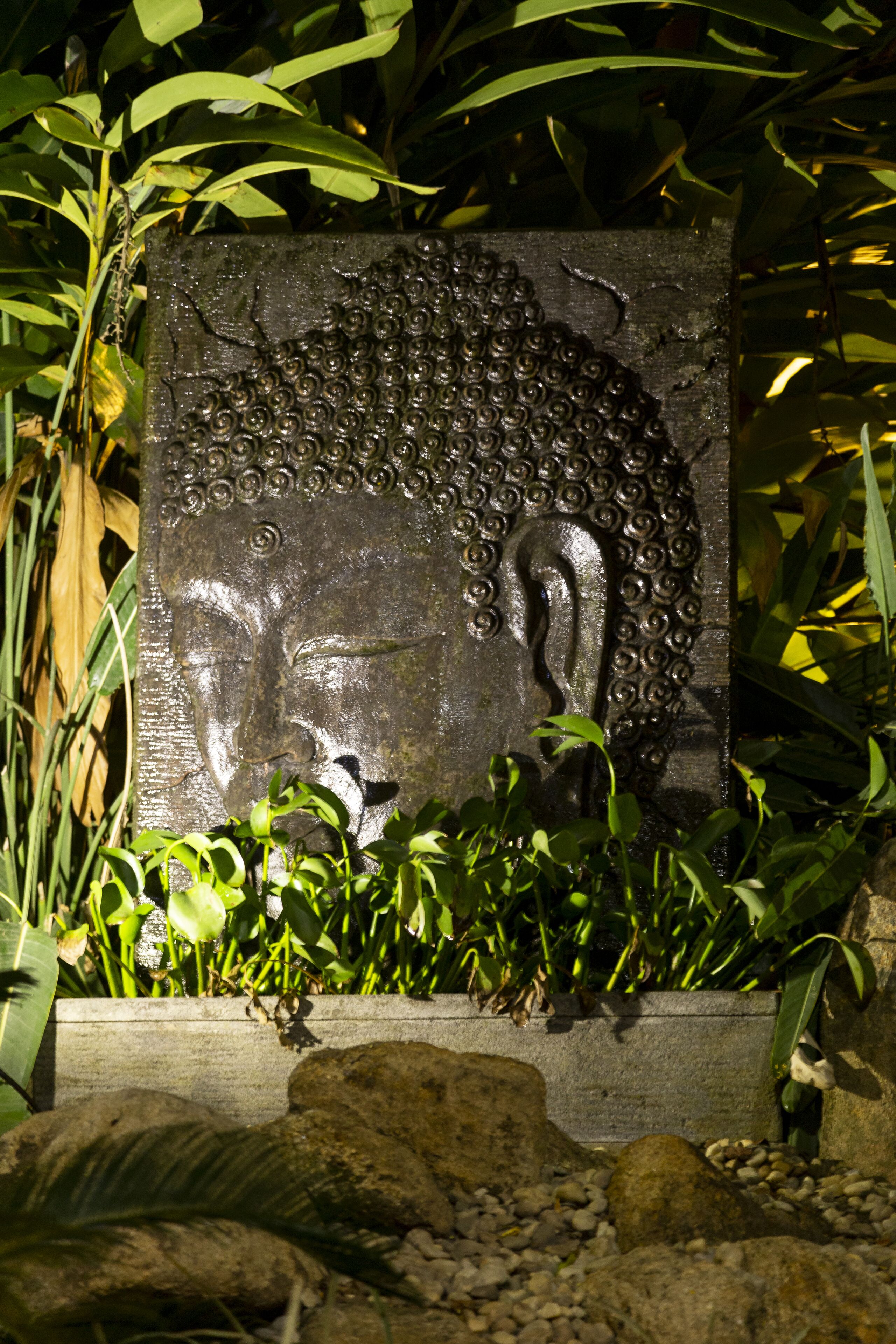 Una estàtua de Buda de pedra envoltada de vegetació.