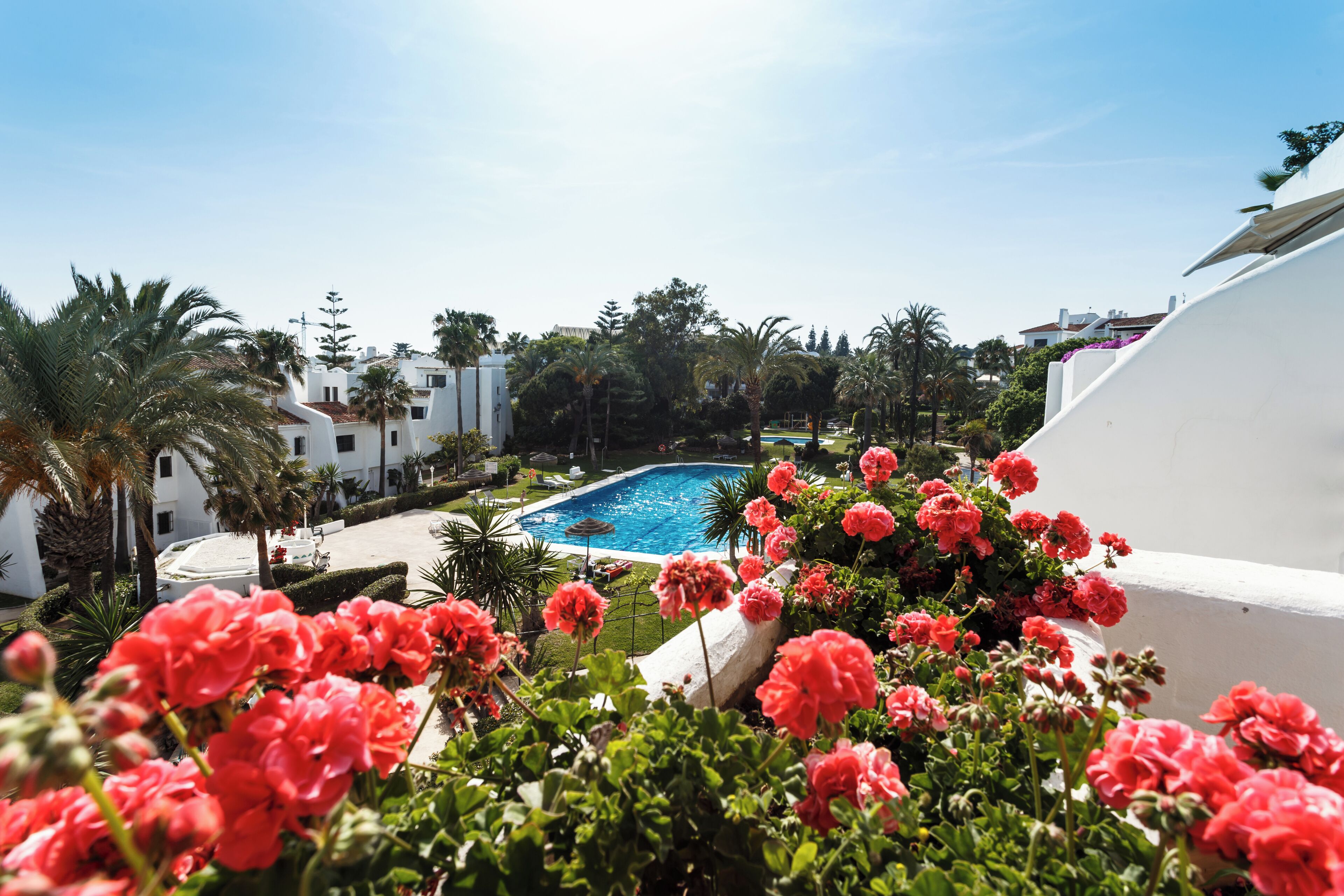 Une piscine entourée de bâtiments blancs, de palmiers et de fleurs roses.