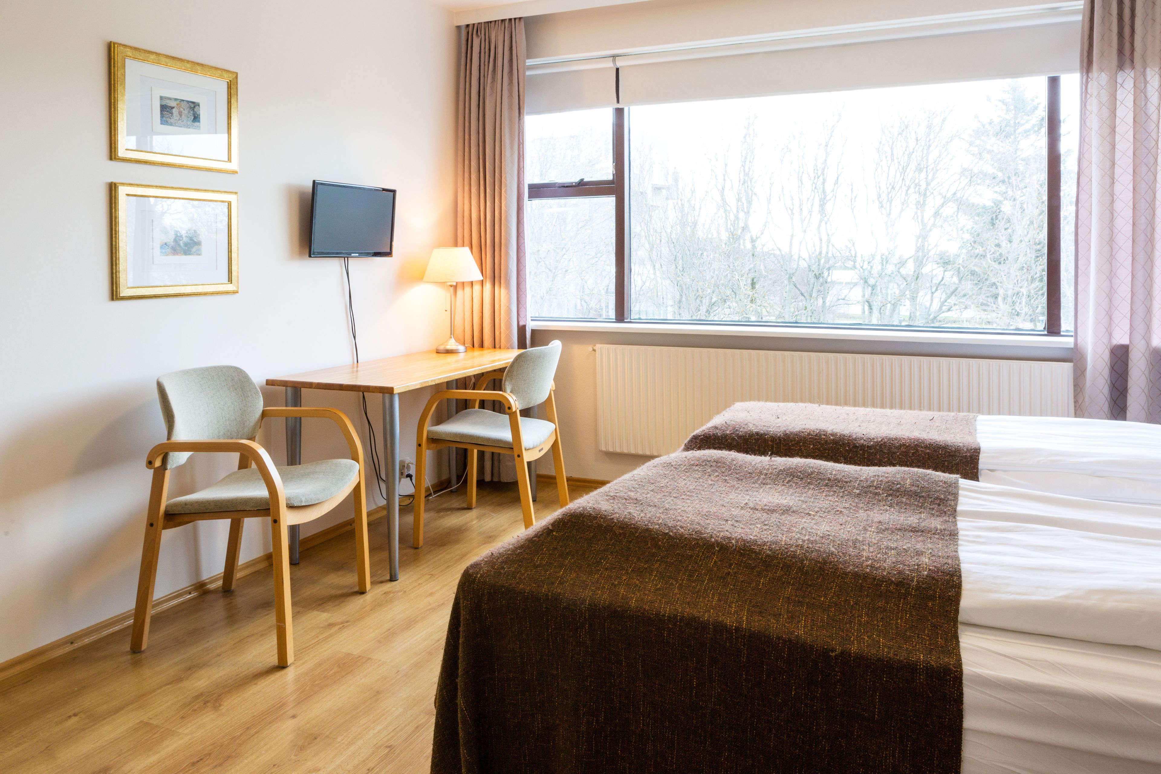 A hotel room with a bed, two chairs, a desk, a television, and a window with a view of trees.