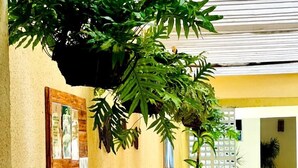 Un patio con muebles de mimbre, una planta en maceta y un cuadro en la pared.